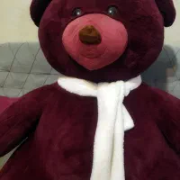 خرس بزرگ بسیار خوشرنگ و به شرط سالمی و تمیزی