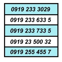 0919.26.8008.5|سیمکارت|کرج, کرج نو|دیوار