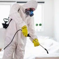 سمپاشی( سم پاشی ) سم خارجی ساس تضمینی