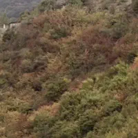 فروش ویلا۳طبقه کنارجاده مشهدبین روستای پاسنگ و لوه