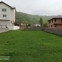 زمین 490 متری سنددار بر 20 متر پی‌قلعه|فروش زمین و ملک کلنگی|کلاردشت, |دیوار