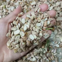 لوبیا شکسته