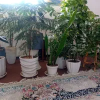 فروش باغشهری ۱۰۰۰متری ،کودیان