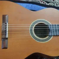 گیتار|گیتار، بیس، امپلیفایر|قم, دروازه ری|دیوار