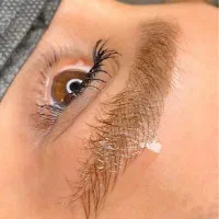 تاتو میکرو ابرو با ده سال سابقه کار فقط 650/000|خدمات آرایشگری و زیبایی|قائمشهر, |دیوار