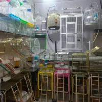 ارزانسرای قفس عروس هلندی گرینچیک مرغ عشق ارزن کتان|لوازم جانبی حیوانات|تبریز, |دیوار