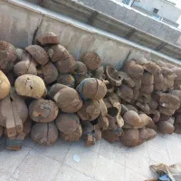 تار های سرپنجه قجری|سازهای سنتی|تهران, کیانشهر|دیوار