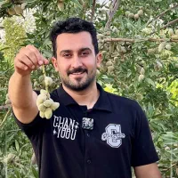 بادام تونو