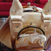 کیف مجلسی شیک و خاص|کیف، کفش، کمربند|ساری, |دیوار