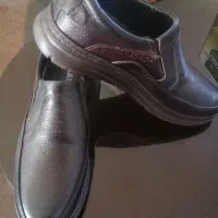 کفش نمره ۴۲. ۸۵۰ تومان