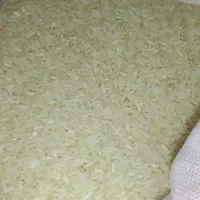 برنج|خوردنی و آشامیدنی|بندر ترکمن, |دیوار