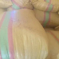 فروش کاه عدس سفید