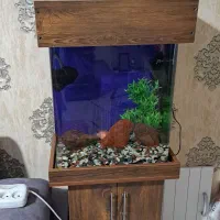 اکواریوم شیشه خم