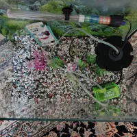 آکواریوم|ماهی|تهران, خزانه|دیوار