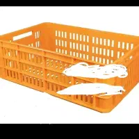 سبد محکم|ظروف نگهدارنده، پلاستیکی، یکبارمصرف|مشهد, سپاد|دیوار