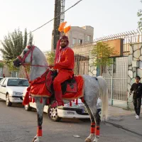 اجاره اسب برای  تعذیه کاروان هیئت سیلمی دوسر