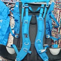 کوله پشتی ۴۵ لیتری دیوتر|کوهنوردی و کمپینگ|نیشابور, فضل|دیوار