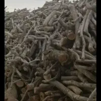 خرید چوب پسته