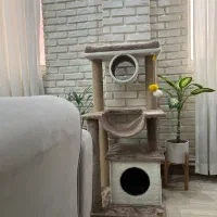 اسکرچر زیبا برای گربه