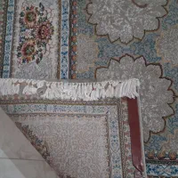 فرش ۱۲ متری|فرش|ساری, |دیوار