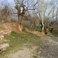باغ ۳ هزار متری میوه و گردو با درختان کهنسال|فروش زمین و ملک کلنگی|مشهد, تبادکان|دیوار