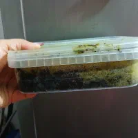 وسایل محلی آماده ارگانیک نازگل|خوردنی و آشامیدنی|رشت, جانبازان|دیوار