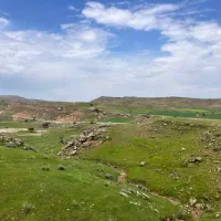 فروش-گاوداری-3-هکتاری-محدوده-پادگان-کرخه