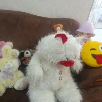 وسایل شخصی|حراج|مراغه, |دیوار