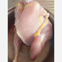 فروش گوشت مرغ خروس محلی گوشتی واردک شاخدار ارگانیک