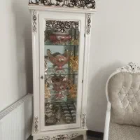 ویترین سالم