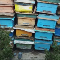 لوازم زنبور داری