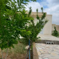 باغشهری ۲۰۰۰متری|فروش زمین و ملک کلنگی|شیراز, داریون|دیوار