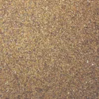 بذر شبد ویونجه