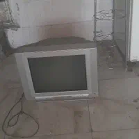 تلوزیون
