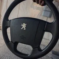 غربیلک فرمان پژو و سردنده