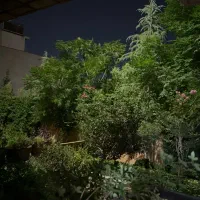 فروش واحد اداری ۲۱۰ متری در خیابان ستارخان شیراز