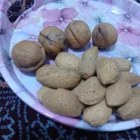 گردو