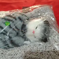 عروسک گربه موزیکال|اسباب‌‌بازی|اسلام‌شهر, شهرک سعیدیه|دیوار