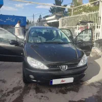 پژو ۲۰۶ SD  v8