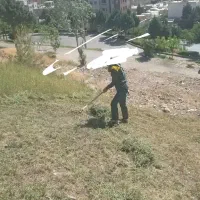 دنبال نگهبانی ام