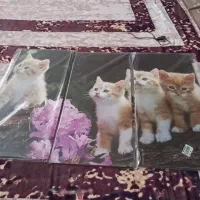 تابلو سه تیکه