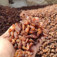 کشمش خوراکی کاشمر|عمدهفروشی|یزد, |دیوار