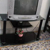 تلویزیون