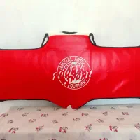 هوگو یا ضربه گیر تکواندو