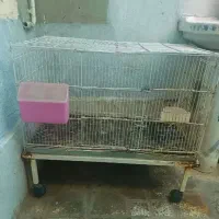قفس مرغ و خروس|لوازم جانبی حیوانات|شیراز, شهرک مهرگان|دیوار