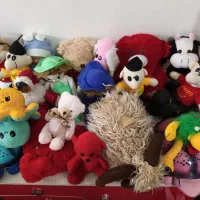 عروسک|اسباببازی بچه|مرودشت, فاز دوم شهرک فرهنگیان|دیوار