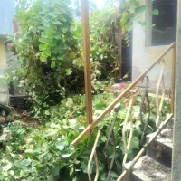 خانه دربست فروشی متراژ (111)متر|فروش خانه و ویلا|رشت, منظریه|دیوار