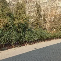 فاز-1مغازه-فروشی-23متر-سه-نبش