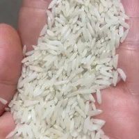 برنج دم سیاه