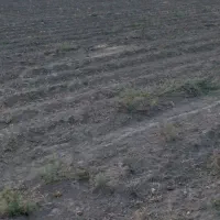 زمین-کشاورزی-به-متراژ-3733مترمناسب-باغ-و-گلخانه